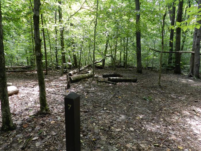 Area of cleared flat ground in the forest next to a wooden post labeled 7Site 7 is located along a yellow blazed path on a broad ridge in an open hardwood forest.
