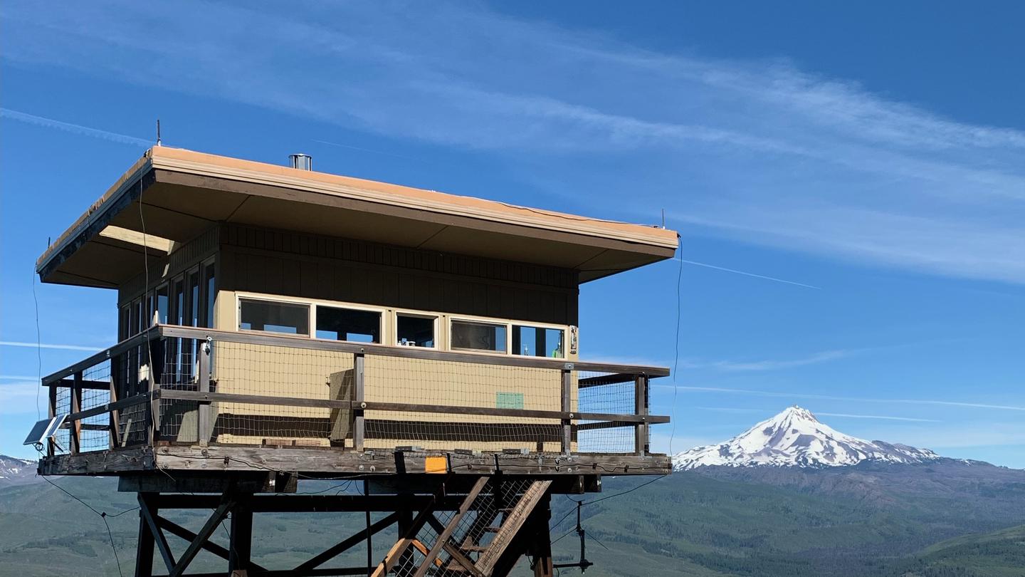 GREEN RIDGE LOOKOUTLookout building near pine tree with mountains in background.