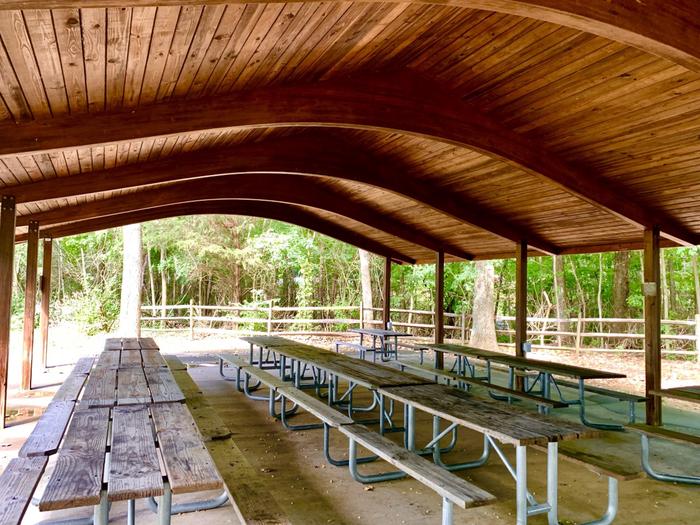 Close-up view of open-aired Beech Shelter. 3 rows of picnic tables are located inside. Inside of Beech Picnic Shelter