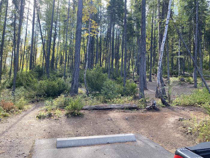 A photo of Site 3 of Loop LOST JOHNNY POINT CAMPGROUND at LOST JOHNNY POINT CAMPGROUND with Picnic Table, Fire PitSite 3