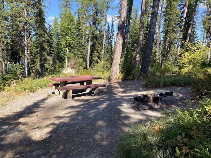 A photo of Site 18 of Loop LOST JOHNNY POINT CAMPGROUND at LOST JOHNNY POINT CAMPGROUND with Picnic Table, Fire PitSite 18