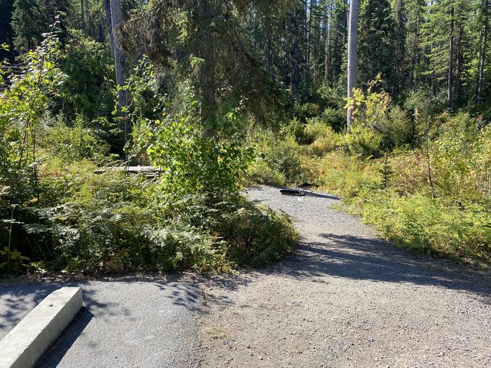 A photo of Site 20 of Loop LOST JOHNNY POINT CAMPGROUND at LOST JOHNNY POINT CAMPGROUND with Picnic Table, Fire PitSite 20