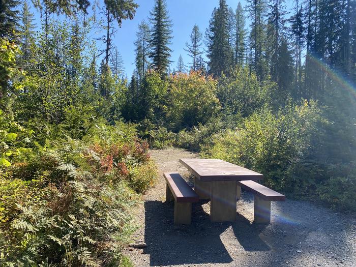A photo of Site 20 of Loop LOST JOHNNY POINT CAMPGROUND at LOST JOHNNY POINT CAMPGROUND with Picnic Table, Fire Pit, Tent PadSite 20