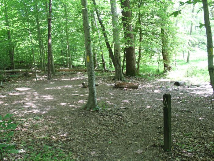 Area of cleared flat ground in the green forest near a meadow next to a wooden post labeled 3Site 3 camp spot in Chopawamsic Backcountry Area
