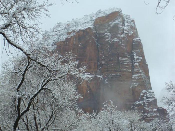 The red rock formation of Angels Landing dusted with snow and framed by snowy treesAngels Landing in the snow