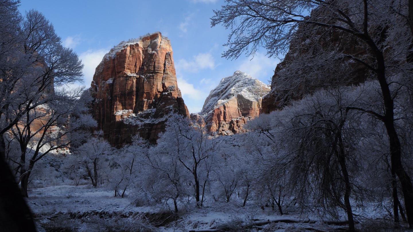 Red rock formation, snow covered trees and blue skyAngels Landing on a winter morning