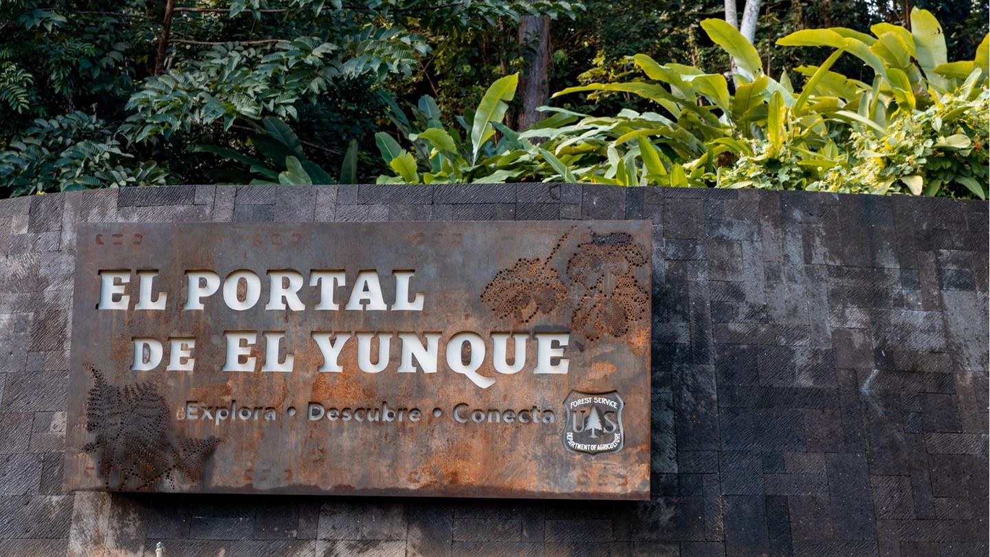 El Portal de El YunqueExplora, descubre, conecta!