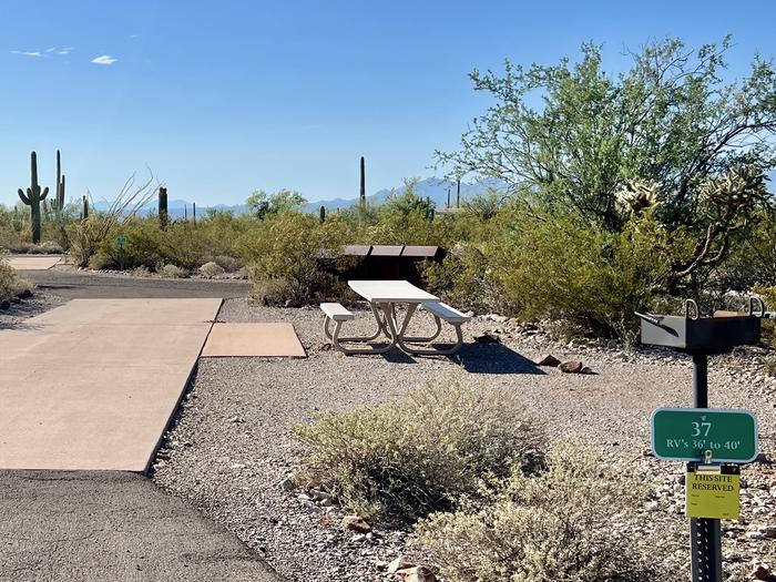 Pull-thru campsite with picnic table and grill, cactus and desert vegetation surround site.