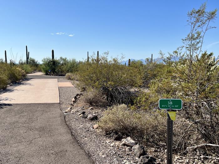 Pull-thru campsite with picnic table and grill, cactus and desert vegetation surround site.