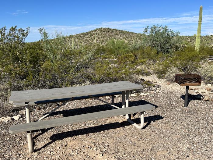 The picnic table of the site and grill surrounded by desert plants.The picnic table and grill