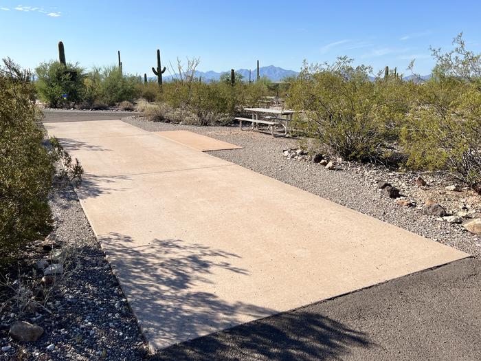 The driveway of the site surrounded by desert plants.Each site has a picnic table and grill.