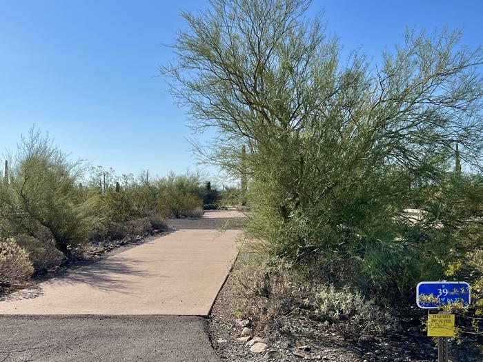 Pull-thru campsite with picnic table and grill, cactus and desert vegetation surround site.