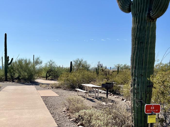 Pull-thru campsite with picnic table and grill, cactus and desert vegetation surround site.