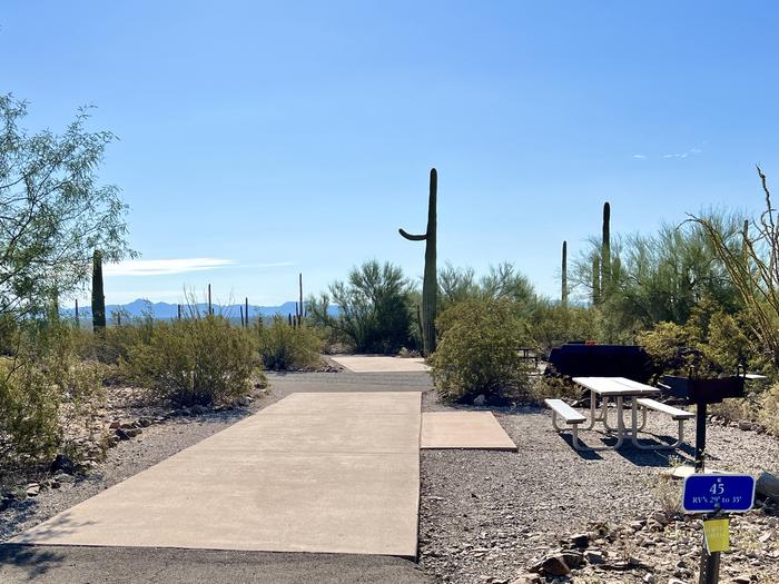 Pull-thru campsite with picnic table and grill, cactus and desert vegetation surround site.