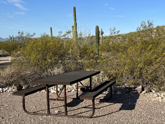 A picnic table sits near a grill and desert vegetation.