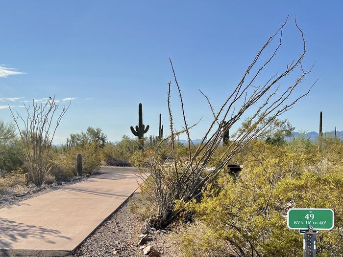 Pull-thru campsite with picnic table and grill, cactus and desert vegetation surround site.