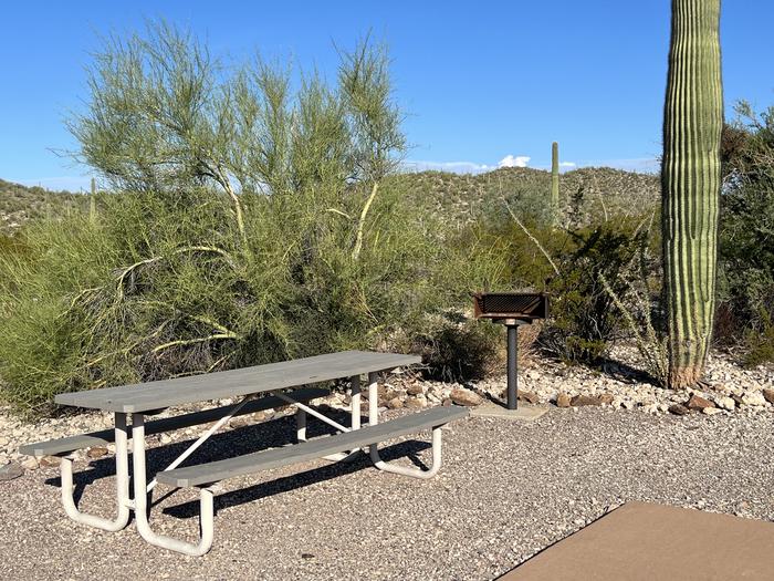 The picnic table of the site and grill surrounded by desert plants.The picnic table and grill.