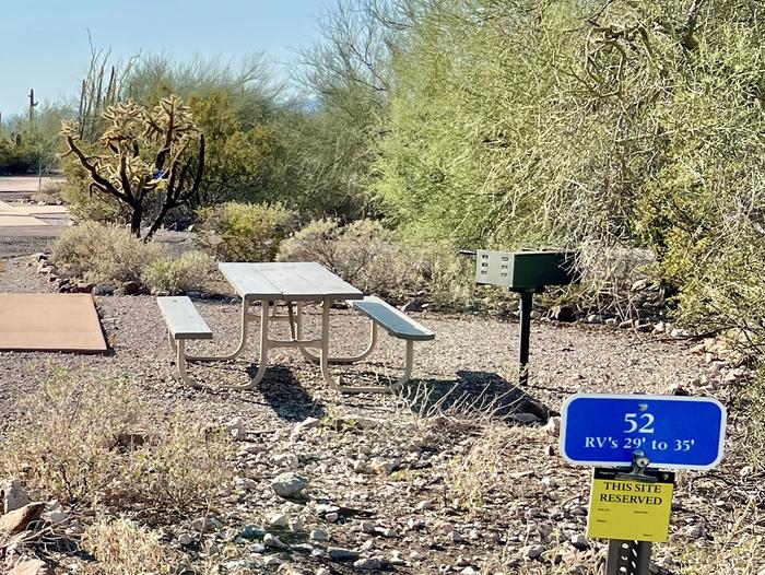 Pull-thru campsite with picnic table and grill, cactus and desert vegetation surround site.