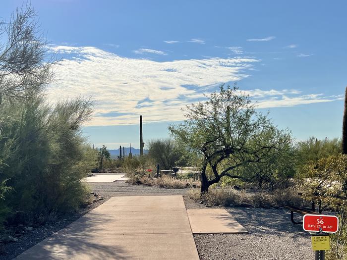 Pull-thru campsite with picnic table and grill, cactus and desert vegetation surround site.