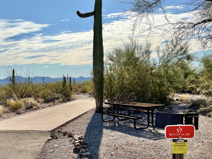 Pull-thru campsite with picnic table and grill, cactus and desert vegetation surround site.