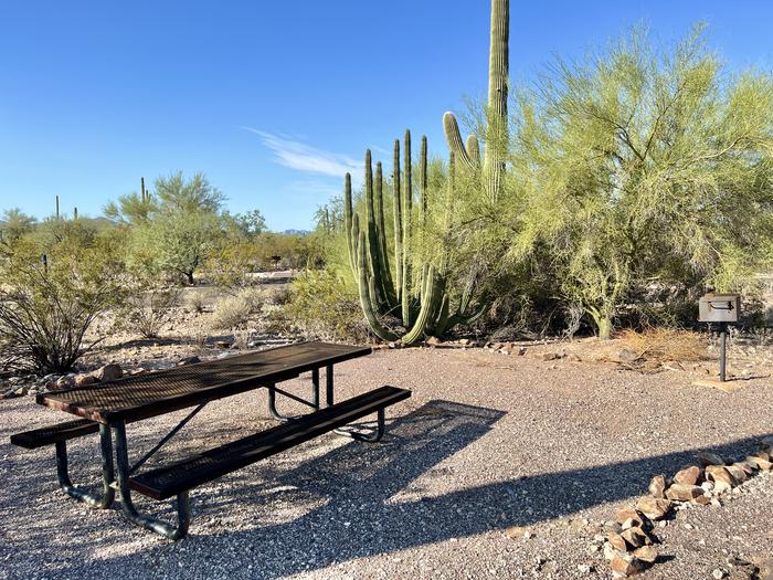 The picnic table of the site and grill surrounded by desert plants.The picnic table and grill.