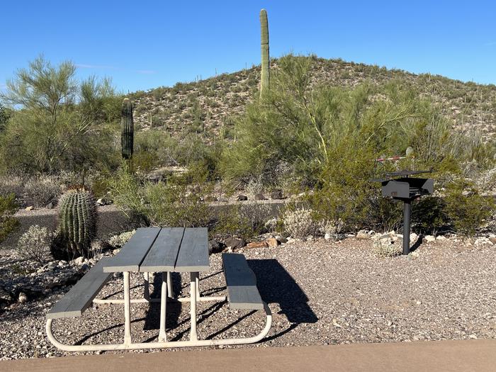 A picnic table sits near a grill and desert vegetation.The picnic table and grill.