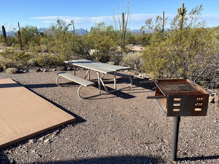 The picnic table of the site and grill surrounded by desert plants.Each site has a picnic table and grill.