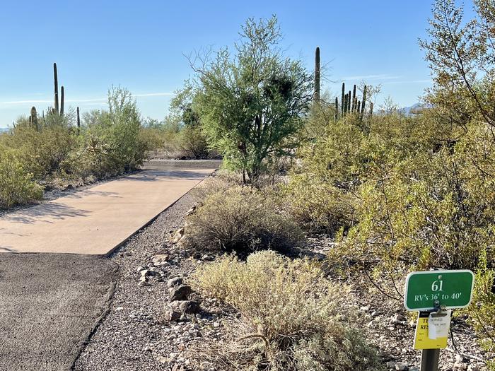 Pull-thru campsite with picnic table and grill, cactus and desert vegetation surround site.