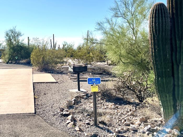 Pull-thru campsite with picnic table and grill, cactus and desert vegetation surround site.