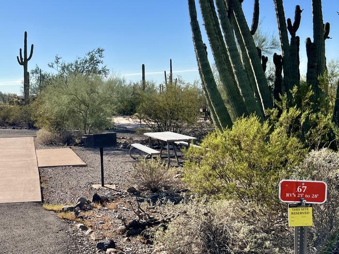 Pull-thru campsite with picnic table and grill, cactus and desert vegetation surround site.