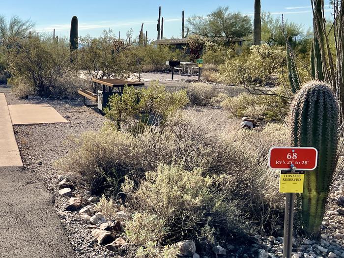 Pull-thru campsite with picnic table and grill, cactus and desert vegetation surround site.