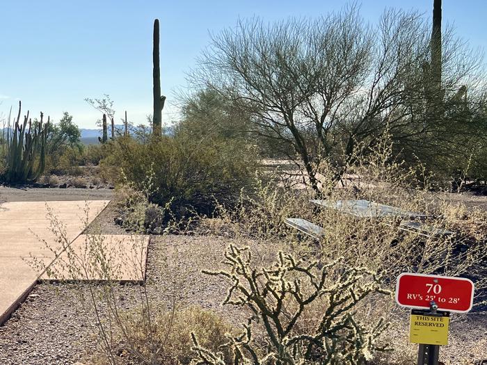 Pull-thru campsite with picnic table and grill, cactus and desert vegetation surround site.