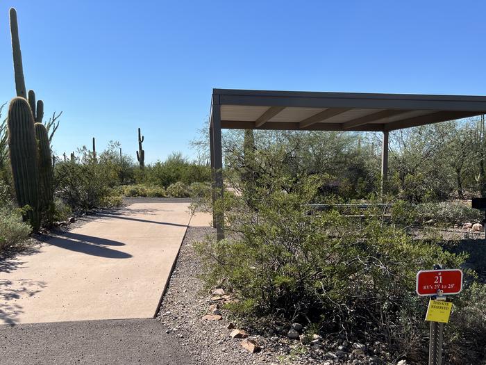 A picnic table sits near a grill and desert vegetation with a shade shelter.