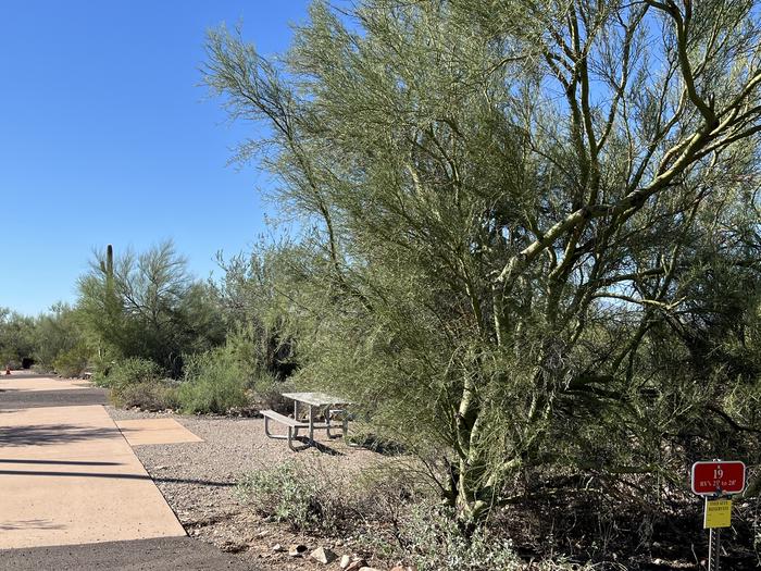 The picnic table of the site and grill surrounded by desert plants.