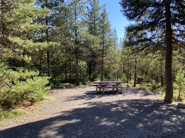 A photo of Site 17 of Loop EMERY BAY CAMPGROUND at EMERY BAY CAMPGROUND with Picnic Table, Fire Pit, Shade