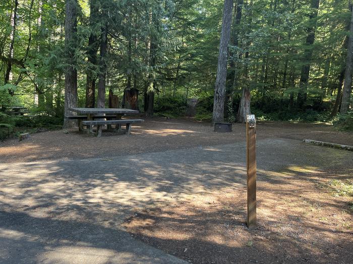 A photo of Site 020 of Loop East at Cove Creek (OR) with Picnic Table, Fire Pit, Tent Pad