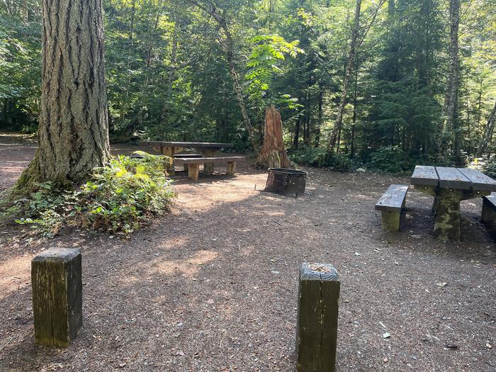 A photo of Site 027 of Loop East at Cove Creek (OR) with Picnic Table, Fire Pit, Tent Pad