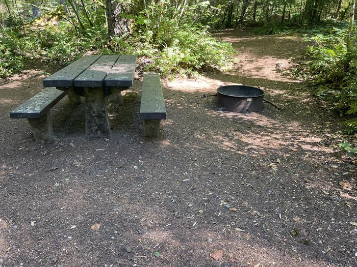 A photo of Site 034 of Loop East at Cove Creek (OR) with Picnic Table, Fire Pit