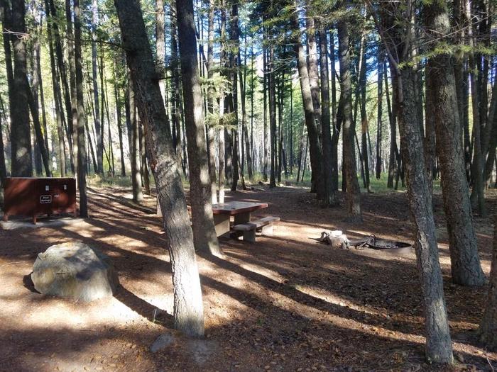 A photo of Site 2 of Loop BIG CREEK CAMPGROUND at Big Creek Campground (Flathead National Forest, MT) with Picnic Table, Fire Pit, Shade