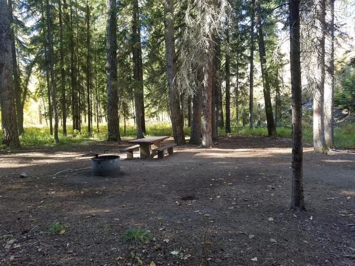 A photo of Site 4 of Loop BIG CREEK CAMPGROUND at Big Creek Campground (Flathead National Forest, MT) with Picnic Table, Fire Pit