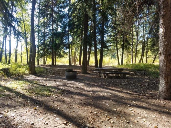 A photo of Site 5 of Loop BIG CREEK CAMPGROUND at Big Creek Campground (Flathead National Forest, MT) with Picnic Table, Fire Pit, Shade, Food Storage, Waterfront
