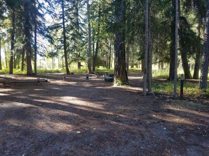A photo of Site 6 of Loop BIG CREEK CAMPGROUND at Big Creek Campground (Flathead National Forest, MT) with Picnic Table, Fire Pit, Shade, Food Storage, Waterfront