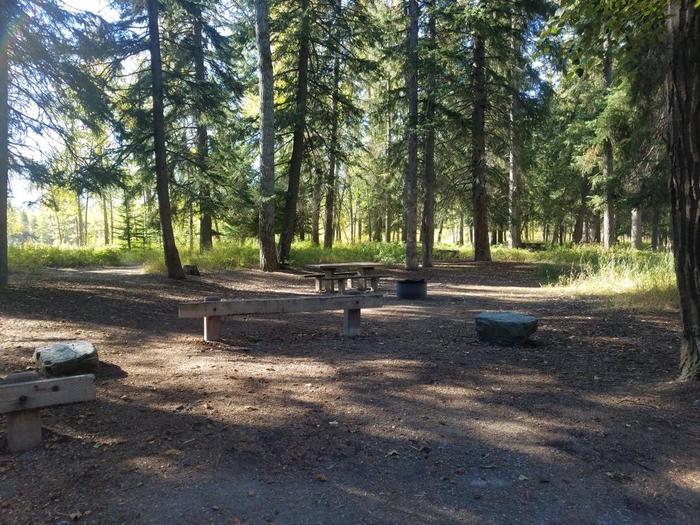 A photo of Site 6 of Loop BIG CREEK CAMPGROUND at Big Creek Campground (Flathead National Forest, MT) with Picnic Table, Fire Pit, Shade, Waterfront