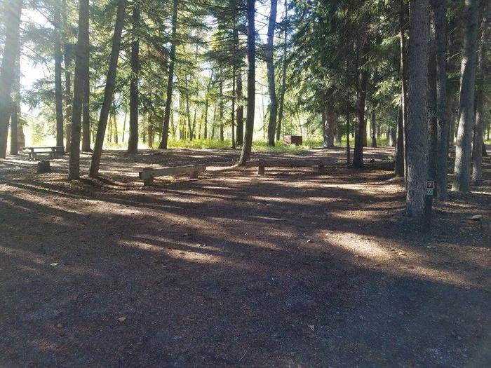 A photo of Site 7 of Loop BIG CREEK CAMPGROUND at Big Creek Campground (Flathead National Forest, MT) with Picnic Table, Fire Pit, Shade, Waterfront