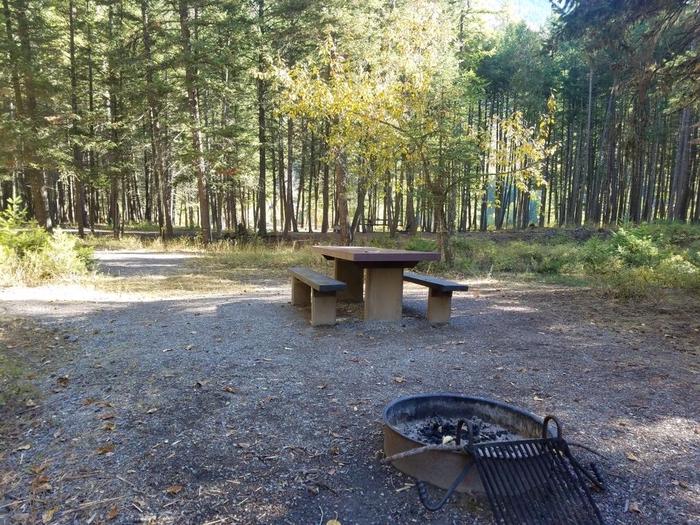 A photo of Site 20 of Loop BIG CREEK CAMPGROUND at Big Creek Campground (Flathead National Forest, MT) with Picnic Table, Fire Pit, Food Storage and driveway shared with site 21