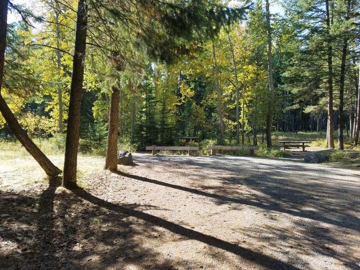 A photo of Site 20 of Loop BIG CREEK CAMPGROUND at Big Creek Campground (Flathead National Forest, MT) with Picnic Table, Fire Pit, Food Storage and driveway shared with sure 21