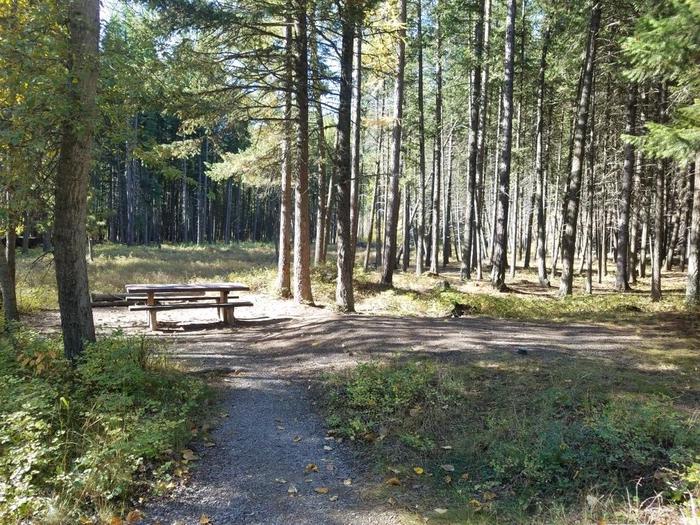 A photo of Site 21 of Loop BIG CREEK CAMPGROUND at Big Creek Campground (Flathead National Forest, MT) with Picnic Table, Fire Pit, Food Storage and driveway shared with site 20