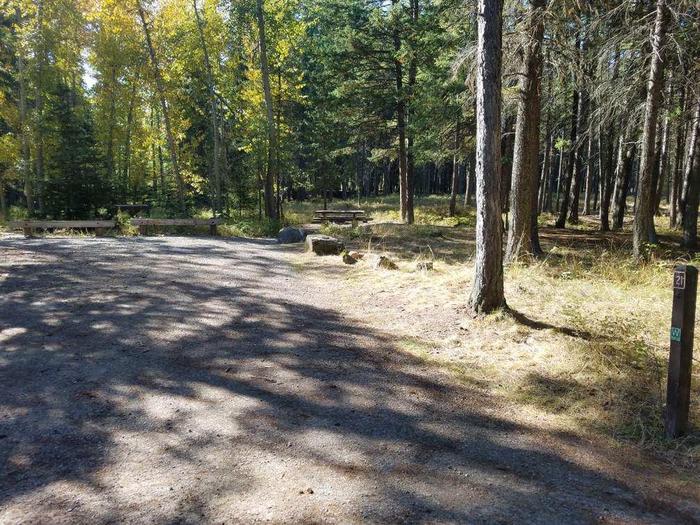 A photo of Site 21 of Loop BIG CREEK CAMPGROUND at Big Creek Campground (Flathead National Forest, MT) with Picnic Table, Fire Pit, Food Storage and driveway shared with site 20. 