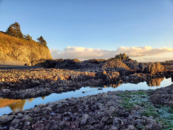 A pool of water and gray rocks against a sunny cliff.Cobble Beach tidepools.