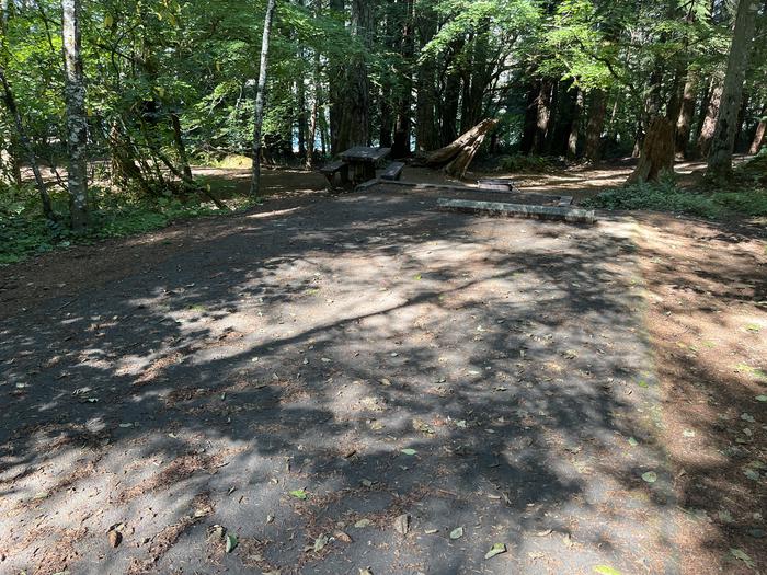 A photo of Site 037 of Loop West at Cove Creek (OR) with Picnic Table
